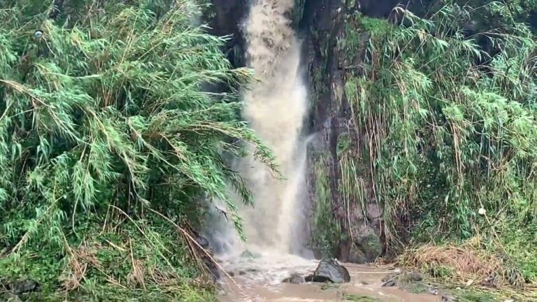Descubra a Charmosa Loja EDA em Ponta Delgada: O Para&iacute;so dos Amantes de Moda!