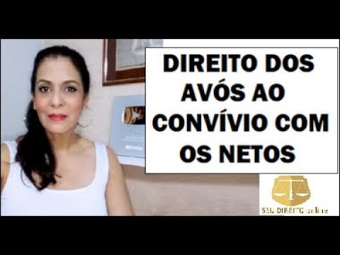 O Poder dos Av&oacute;s: Direitos e Responsabilidades dos Av&oacute;s sobre os Netos em Portugal