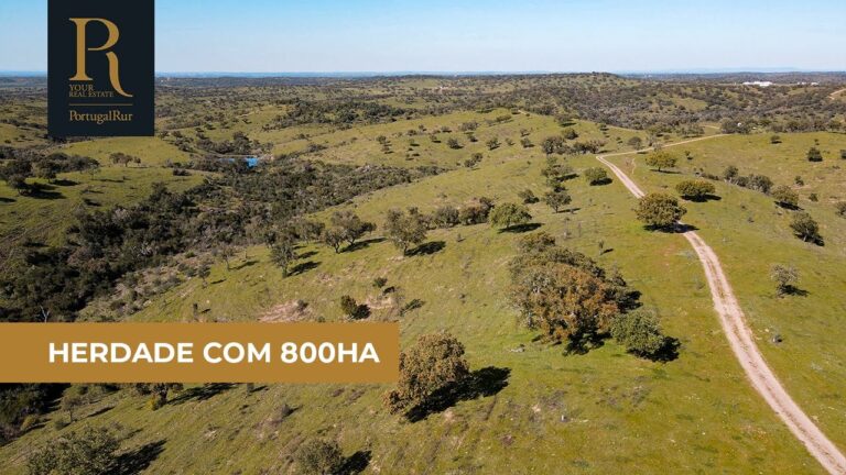 Oportunidade: Casas Penhoradas em Moura – Invista Agora!