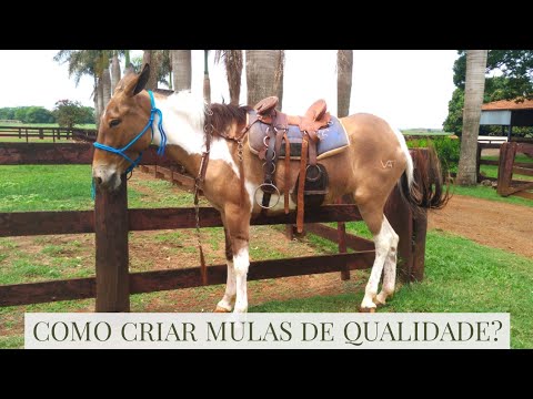 DGEg Recrutamento: Descubra as Oportunidades de Carreira em Destaque!