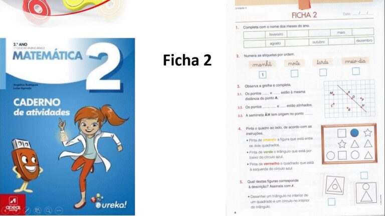 Fichas 2º Ano: Guia de Estudo Essencial