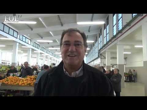 Dicas valiosas para mercar com sucesso no entroncamento