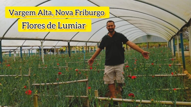 Desvendando a magia da Flor do Lumiar: Um mergulho na beleza e poderes dessa planta encantadora