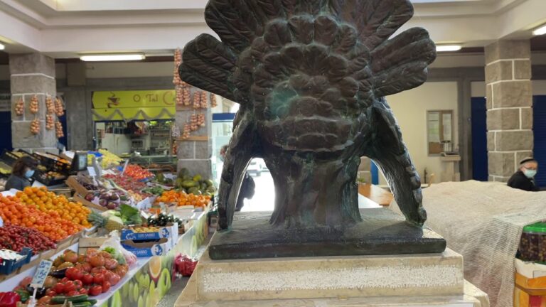 Mercado de Sintra: O Melhor Lugar para Compras e Sabores Locais