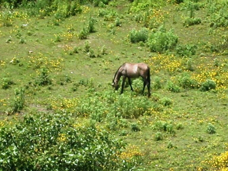 Descubra a beleza e hist&oacute;ria da Quinta do Amparo em Leiria: um tesouro escondido!