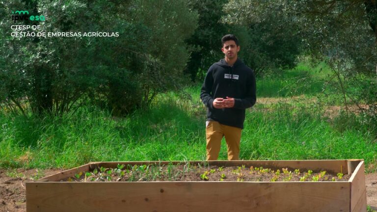 Otimizando a produtividade das empresas agrícolas