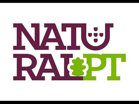 Descubra os Benef&iacute;cios do Estilo de Vida Natural para sua Sa&uacute;de e Bem-Estar