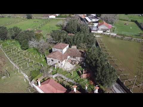 Descubra a beleza da Quinta Viana do Castelo