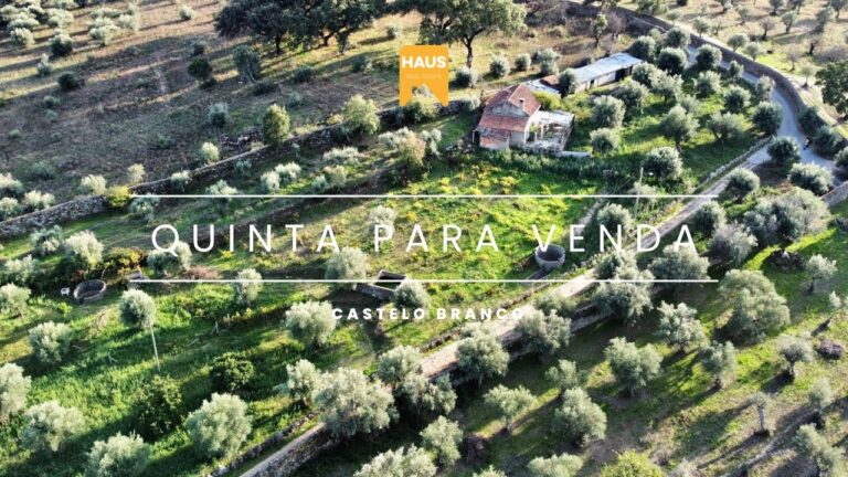 Venda de casas em Castelo Branco: Encontre a sua nova casa hoje!