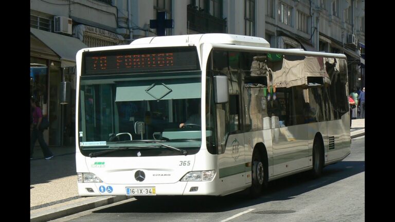 22 Gondomarense: O Caminho para a Vitória