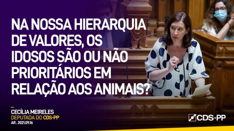 DL 276 de 2001: Uma análise otimizada e concisa