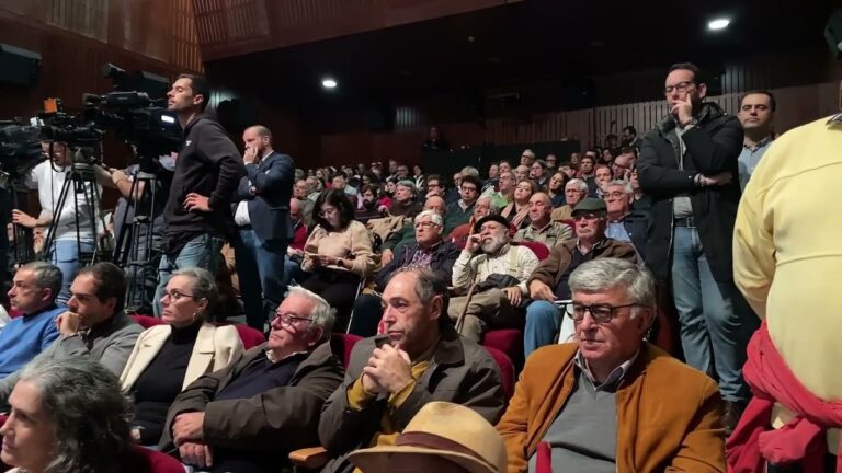 Guia completo da pensão em Santarém