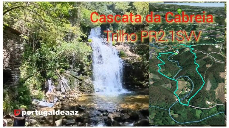 Explorando o Mapa de Sever do Vouga: Uma Visão Concisa