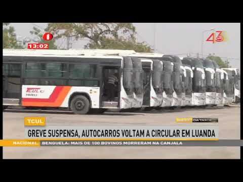 Greve dos Autocarros: Impacto e Solu&ccedil;&otilde;es