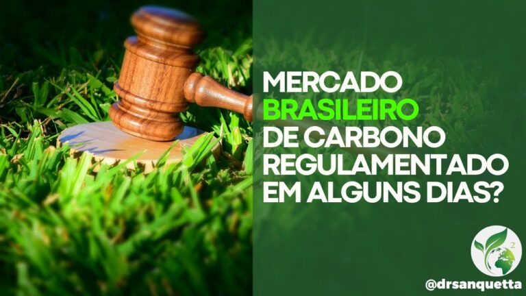 Decretos Regulamentares: Uma An&aacute;lise do Decreto Regulamentar 18/2009