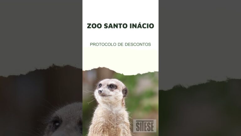 Desconto imperd&iacute;vel no Zoo Santo In&aacute;cio: Aproveite j&aacute;!