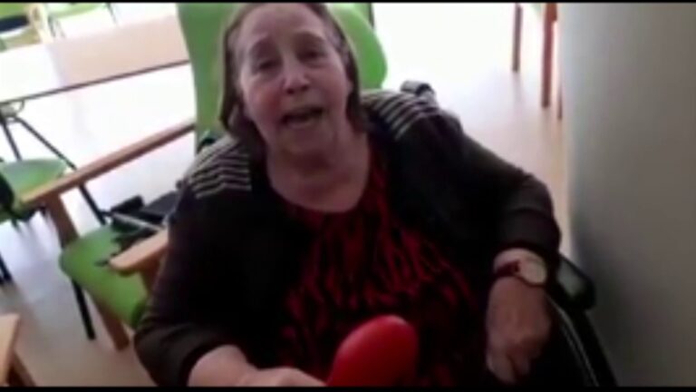 Lar e Centro de Dia Padre Am&eacute;rico: Uma Abordagem Otimizada e Concisa
