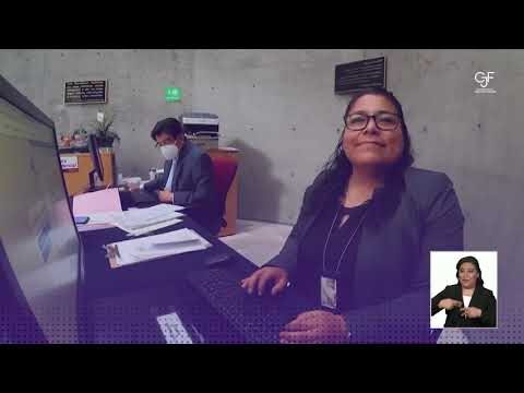 Direitos e Poderes do Advogado no Processo Civil