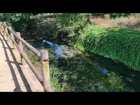 Fontes Leiria: Descubra as Belezas e História desta Encantadora Cidade
