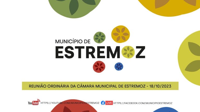 Decretos-Lei nº 18/2008: Regulamentação e Implicações