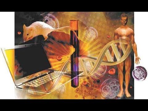 Riscos F&iacute;sicos: Como Identificar e Prevenir