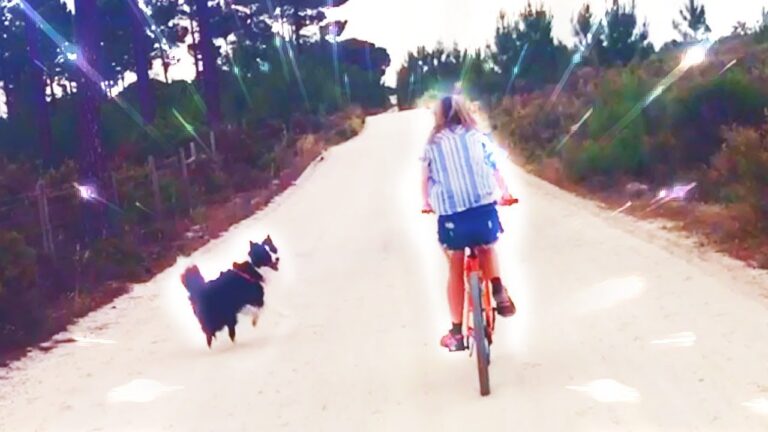 Descubra as Maravilhas das Ferias em Comporta
