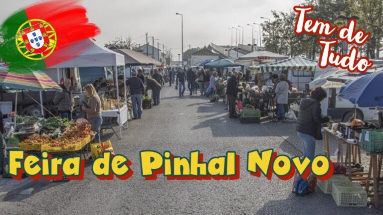 Explorando o Mercado de Pinhal Novo: Oportunidades e Tendências