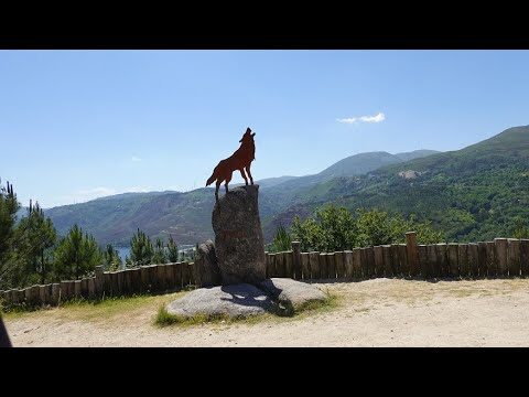 Parques de Campismo no Norte de Portugal: Descubra as Melhores Opções