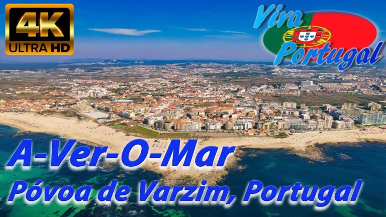 Aver o Mar: Explorando as Belezas do Oceano