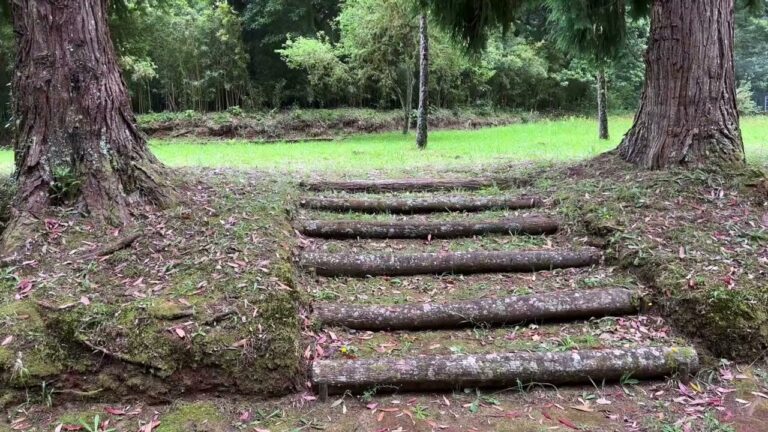 Descubra os Encantos de Santo António da Serra