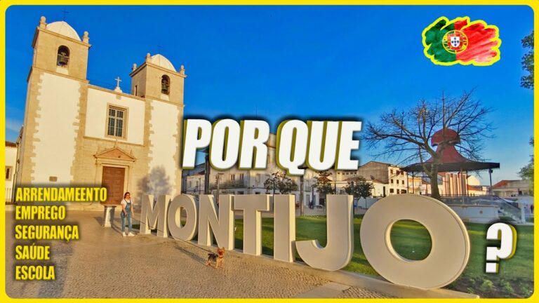Centro de Emprego Montijo: Servi&ccedil;os e Oportunidades