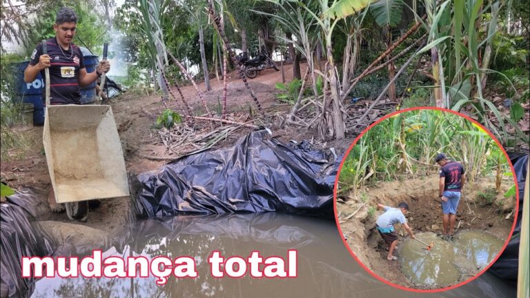 Explorando as Mudan&ccedil;as no Barreiro: Uma An&aacute;lise Concisa