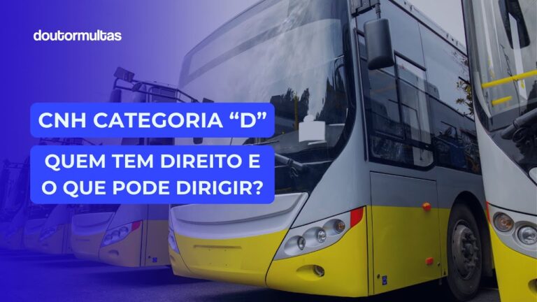 Guia Completo da Categoria D: Tudo o que você precisa saber