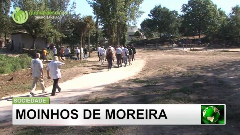 Descubra Mais Sobre Moreira de C&oacute;negos