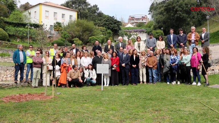 Unidade de Saúde de Coimbra: Avanços e Desafios