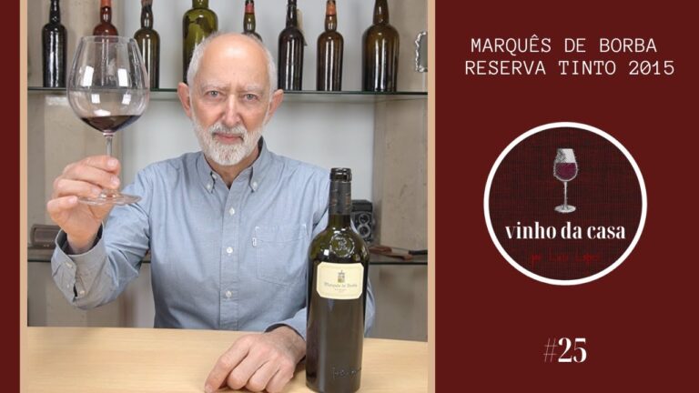 Vinho Borba: tradição e excelência em cada garrafa