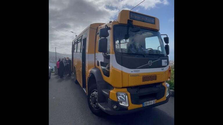 Horários do Funchal 8: Guia Prático e Eficiente