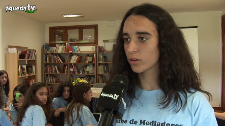 Otimiza&ccedil;&atilde;o do Agrupamento de Escolas de Valongo