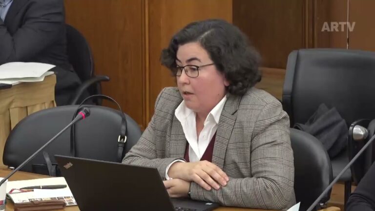 C&acirc;mara Municipal de Caldas da Rainha: Fun&ccedil;&otilde;es e Responsabilidades