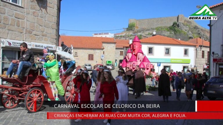 Guia completo do Agrupamento de Escolas de Celorico da Beira