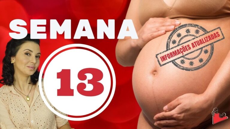 Guia Completo: 13 Semanas de Gravidez
