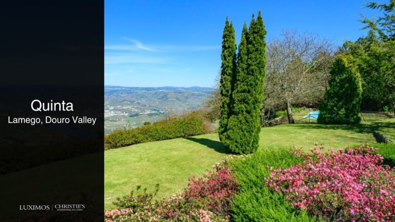 Descubra as Melhores Casas em Lamego