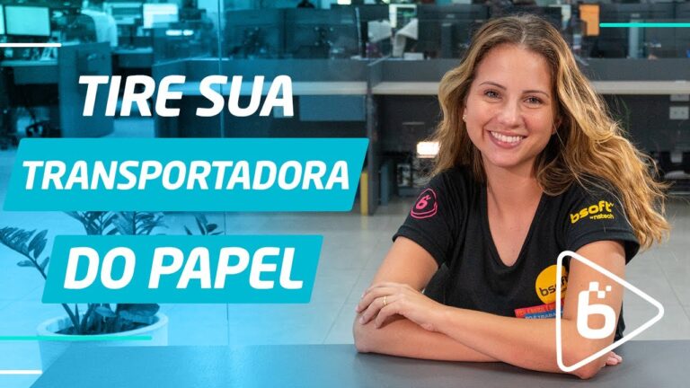 Empresas de Distribui&ccedil;&atilde;o de Encomendas: Efici&ecirc;ncia e Inova&ccedil;&atilde;o no Setor