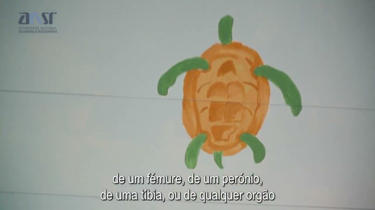 Descubra o Poder do ANSR Faro na Transforma&ccedil;&atilde;o Digital