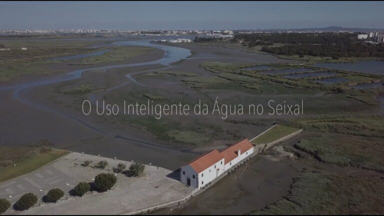 &Aacute;gua Seixal: O Guia Completo para uma &Aacute;gua Mais Pura e Saud&aacute;vel