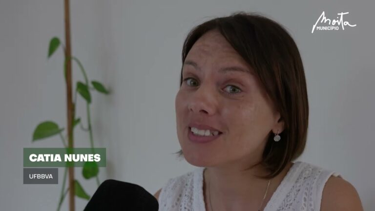 Escolas da Moita: Agrupamento e Desempenho