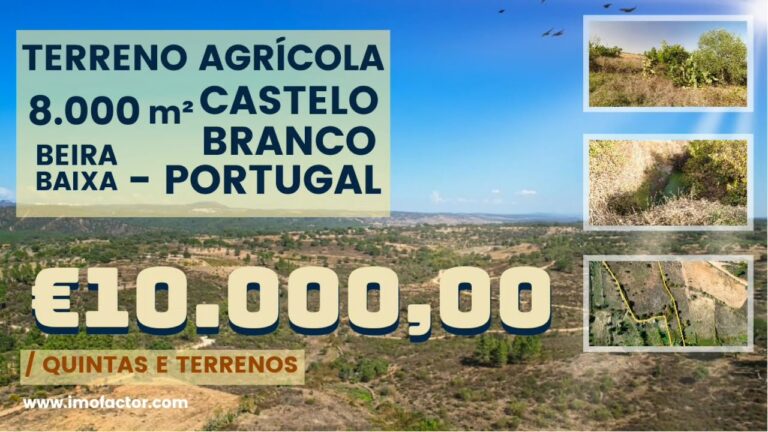 Terrenos Agrícolas à Venda: Guia Completo
