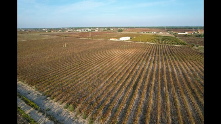 Oportunidades de Investimento em Terrenos em Set&uacute;bal