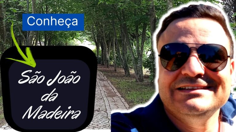 Guia do Centro de Emprego em São João da Madeira