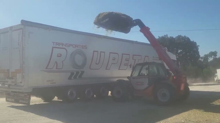 Transportes Roupeta: Soluções Eficientes em Logística